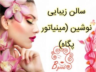 سالن زیبایی نوشین (مینیاتور پگاه)