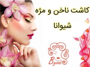 کاشت ناخن و مژه شیوانا