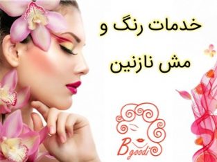 خدمات رنگ و مش نازنین