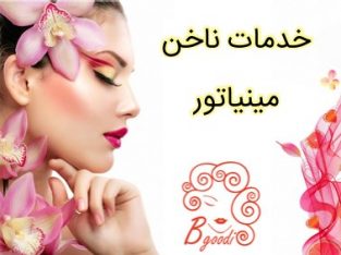 خدمات ناخن مینیاتور