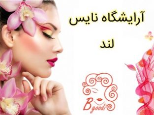 آرایشگاه نایس لند