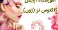 آموزشگاه آرایش کاکتوس نو (ژون)