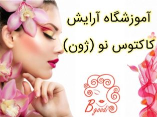 آموزشگاه آرایش کاکتوس نو (ژون)