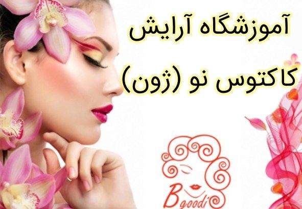 آموزشگاه آرایش کاکتوس نو (ژون)