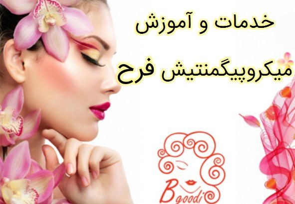 خدمات و آموزش میکروپیگمنتیش فرح